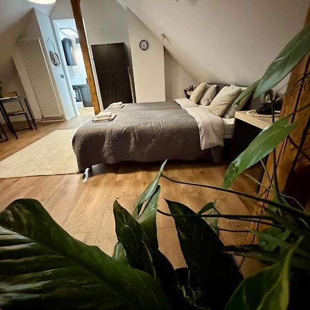 Apartamenty Astor - Ksiezycowy Щавно-Здруй Екстериор снимка