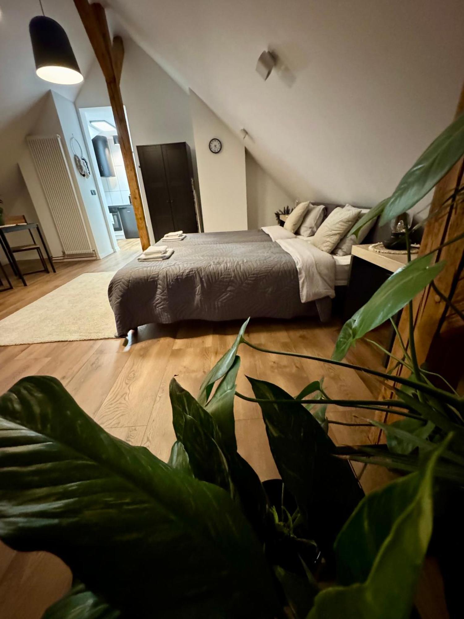 Apartamenty Astor - Ksiezycowy Щавно-Здруй Екстериор снимка